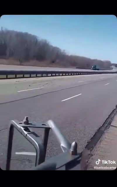 Why not to let a bird out on the side of a highway (both POVs)
