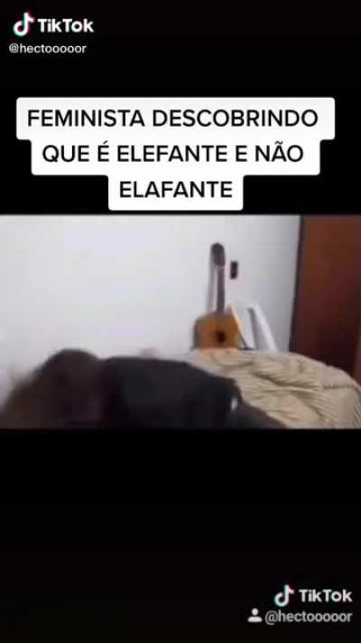 Ta né?