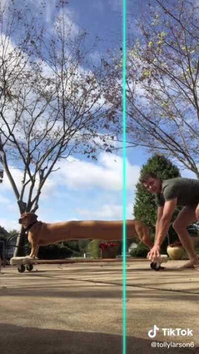 Long Boi