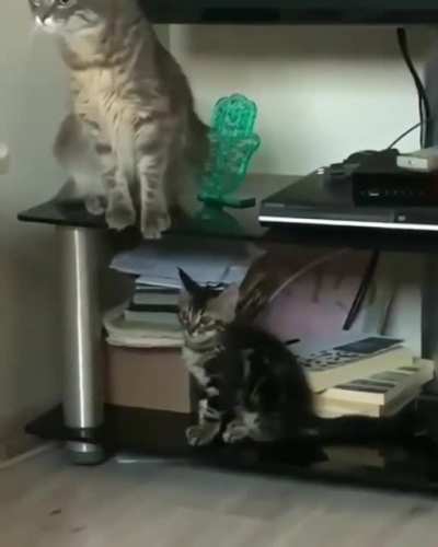 What is that?