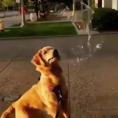 Bubble boy