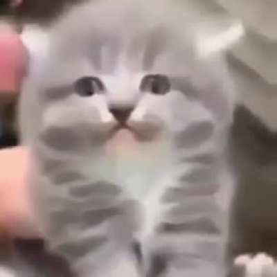 Grrr