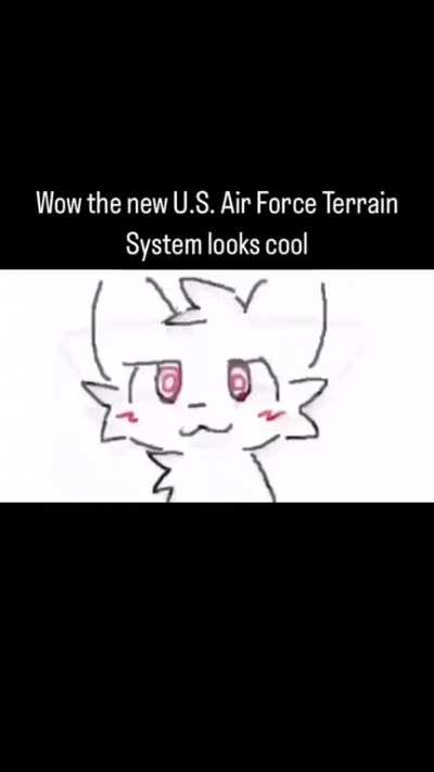 Suddenly, I wish to pursue a career in the airforce.