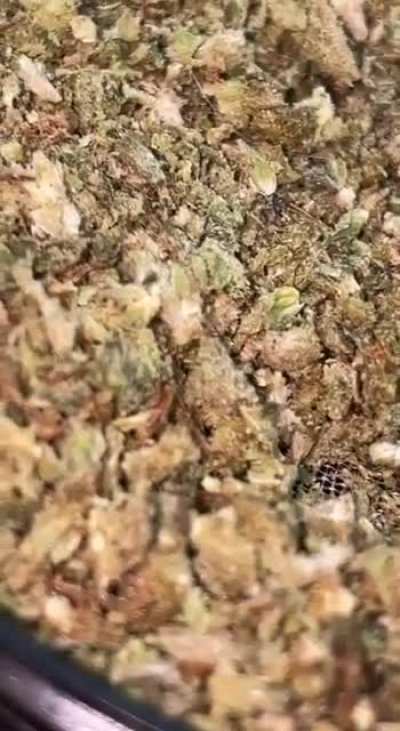 Trichome_Porn