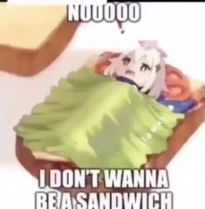 Sandwich 🥪😋