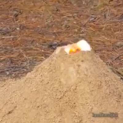 Coke volcano