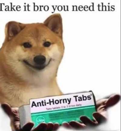 I think this entire sub needs these take 2 daily and horny gone