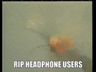 [WARNING: LOUD]