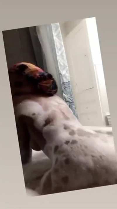 New shower videos
