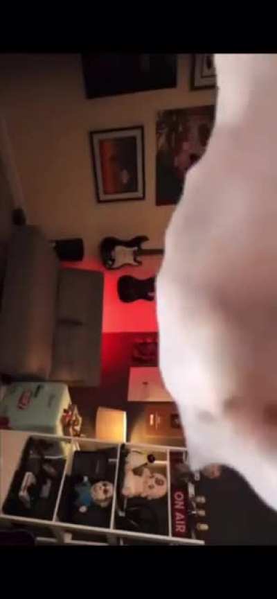 This cat accurately represents how I was vibing to Kevin.