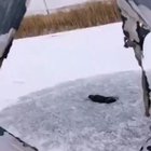 doesn’t give fishing
