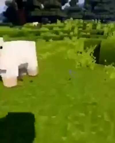 Thicc