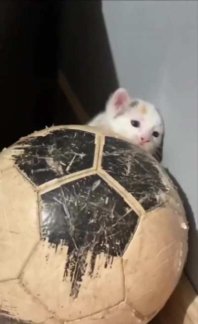 Help