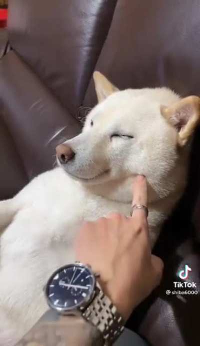Вот хуйня