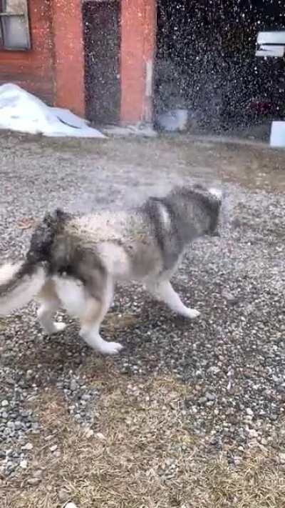 Slow-mo Shake