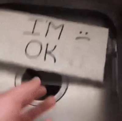 furry_irl