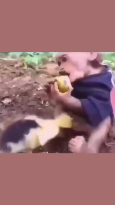 blursed_duckling