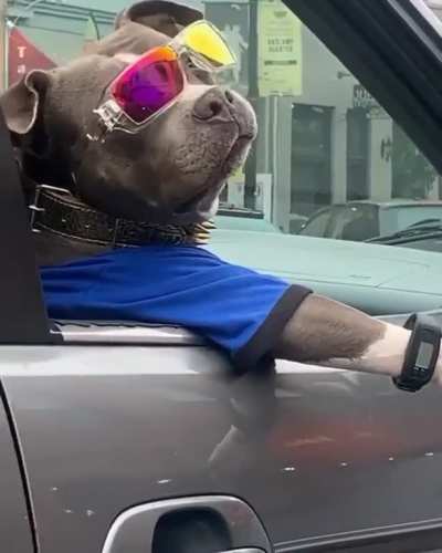 What's up Dogg 😎