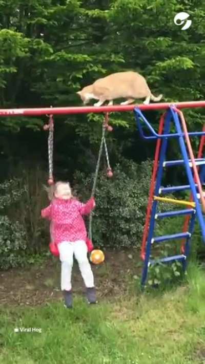 Equilibrist