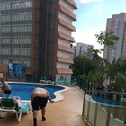 Jumping into the pool be like