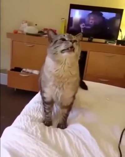 Catastrophic sneeze
