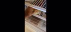 Do kookaburras like pasta ?