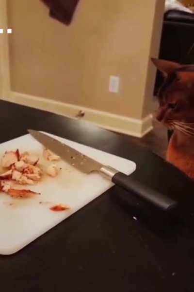 Wunk gets scolded
