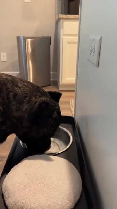 Awwwwww