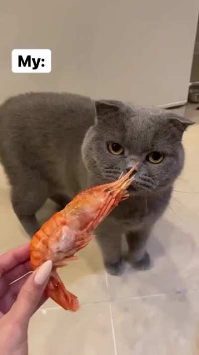 Skripms