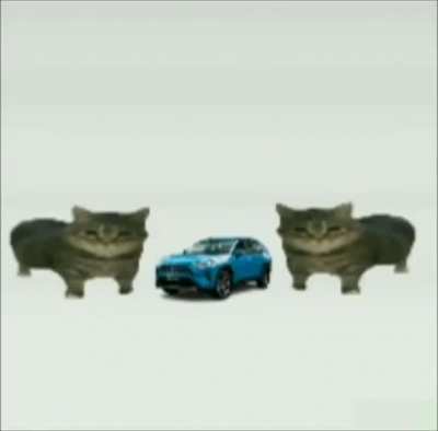 toyta