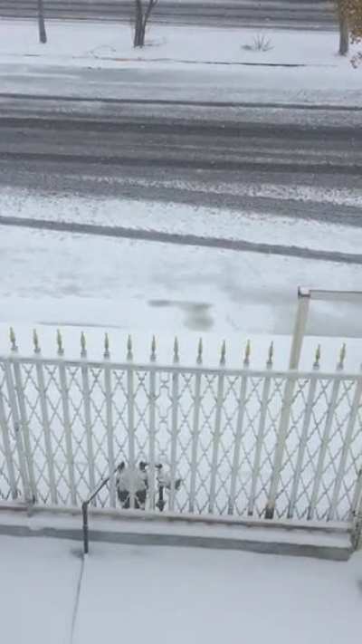 La mañana del Domingo 14 de Febrero de 2021 en Cd. Juárez.