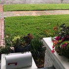 Florida Storm
