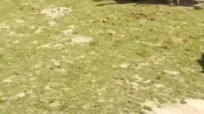 RKO