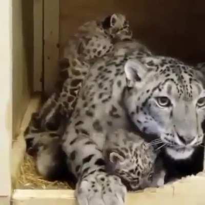 The joy of motherhood