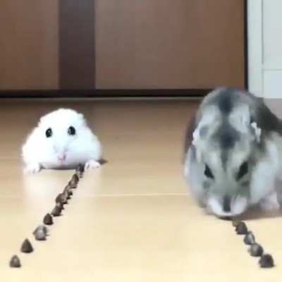 the
