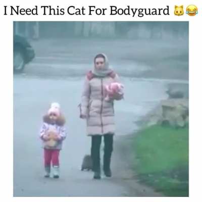 This Cat...