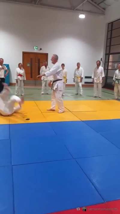 Sensei Ronnie Smith: Steven Seagal would be proud