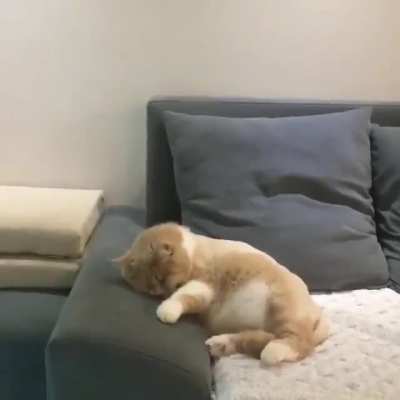 What is she dreaming about?