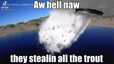 NOOOOOOOOOOOOO
