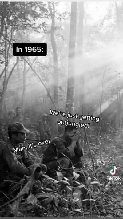 if you think about it USA lost to Vietnam literally because of the