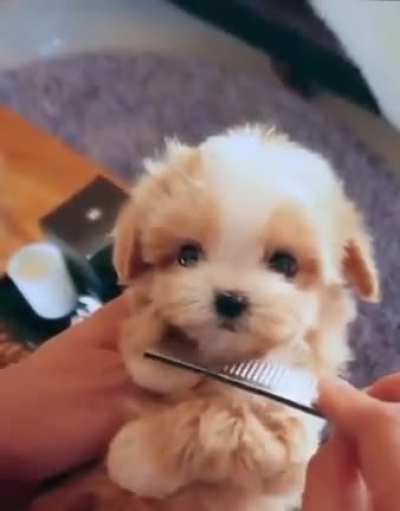 that is so cute