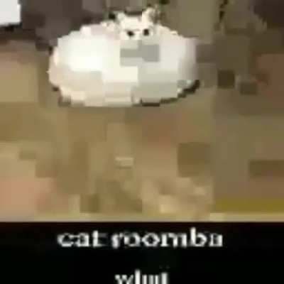 rooma