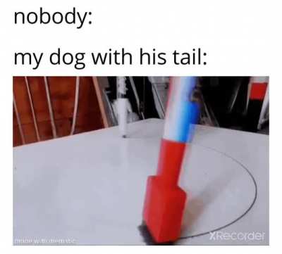 TAILSSSS tailssss