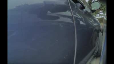 Dented Door