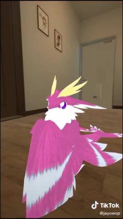 *SQUEA-