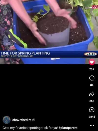 Repotting hack! 
