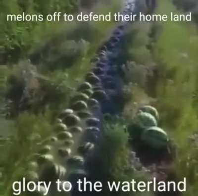 Glory to the waterland