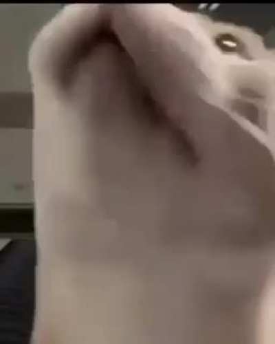 Rule