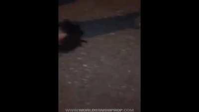 Girl Almost Puts Her Opp To Sleep By Chocking Her Out During 1Vs1 Fight 