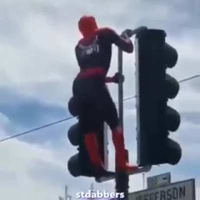 Spider Man?